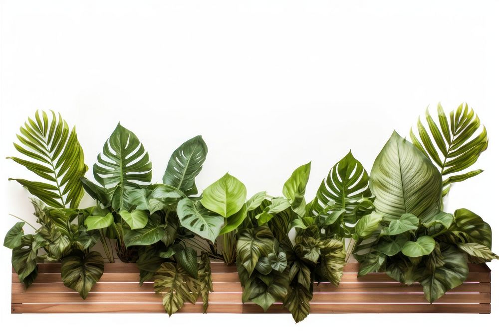 Tropical leaves fence plant leaf houseplant. AI generated Image by rawpixel.
