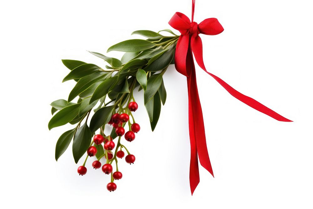 Mistletoe plant christmas hanging. AI generated Image by rawpixel.