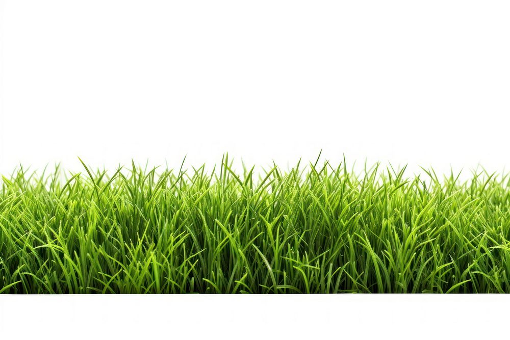 Green grass field outdoors plant lawn. AI generated Image by rawpixel.