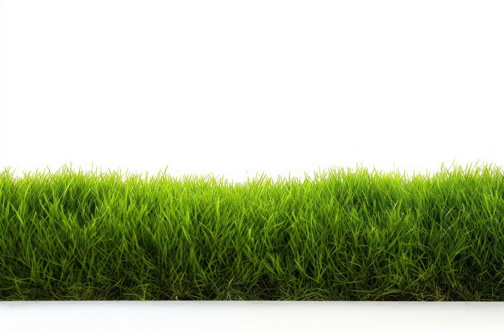 Green lawn grass plant tranquility. AI generated Image by rawpixel.