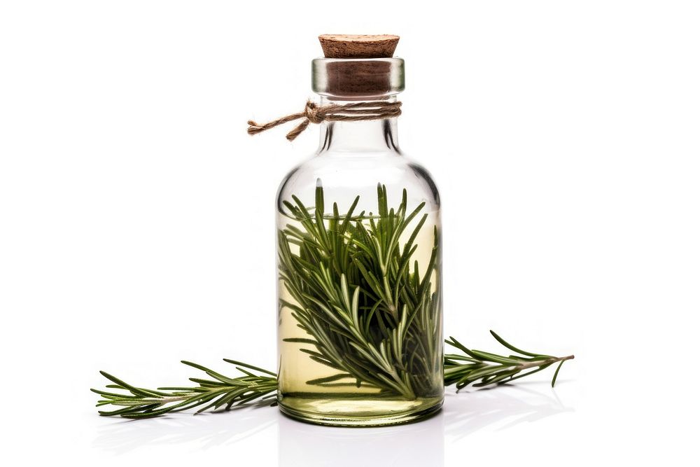Rosemary bottle plant herbs. AI generated Image by rawpixel.