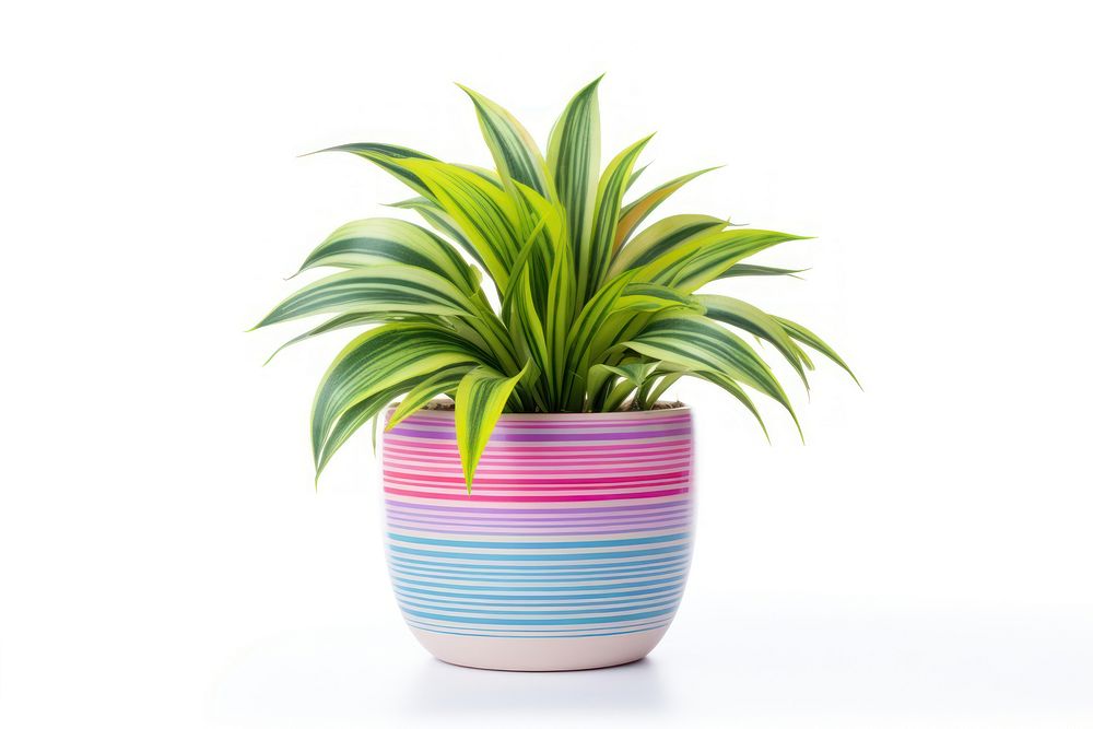 Plant pot leaf vase white background. AI generated Image by rawpixel.