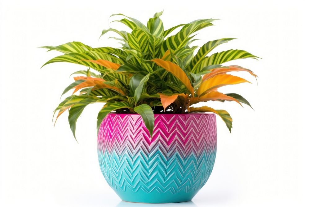 Plant pot vase leaf white background. AI generated Image by rawpixel.