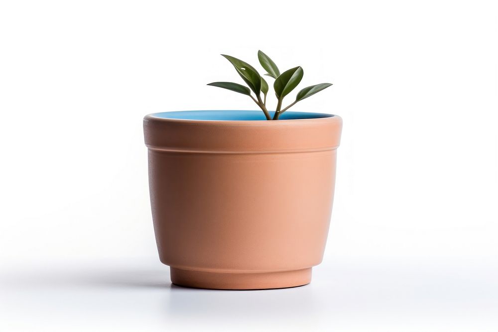 Plant pot pottery vase leaf. AI generated Image by rawpixel.