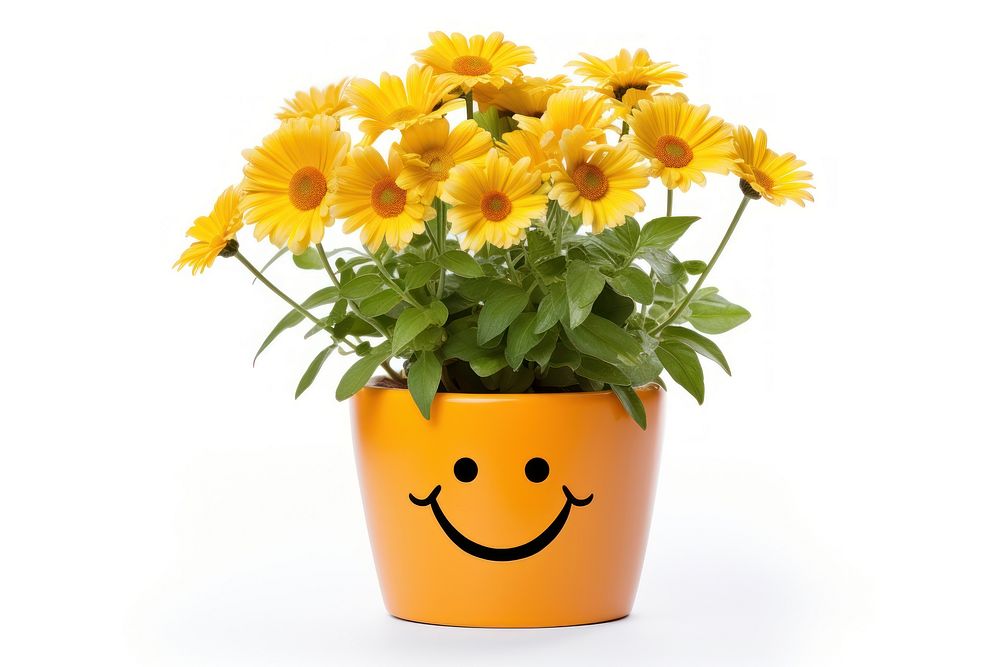 Smile flower plant daisy. AI generated Image by rawpixel.