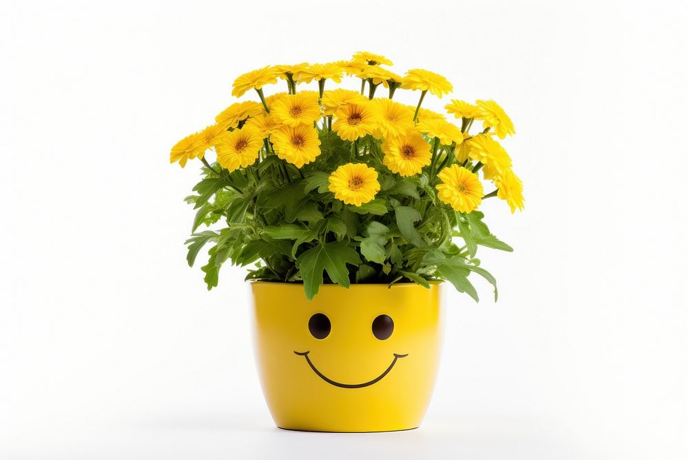 Smile flower plant vase. AI generated Image by rawpixel.