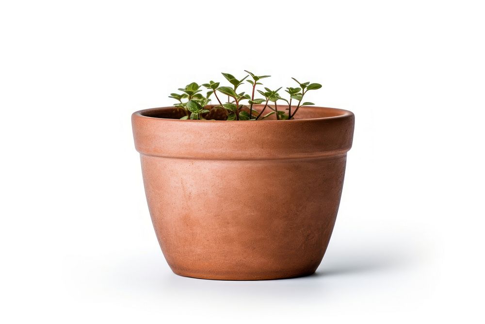 Plant pot white background terracotta houseplant. AI generated Image by rawpixel.