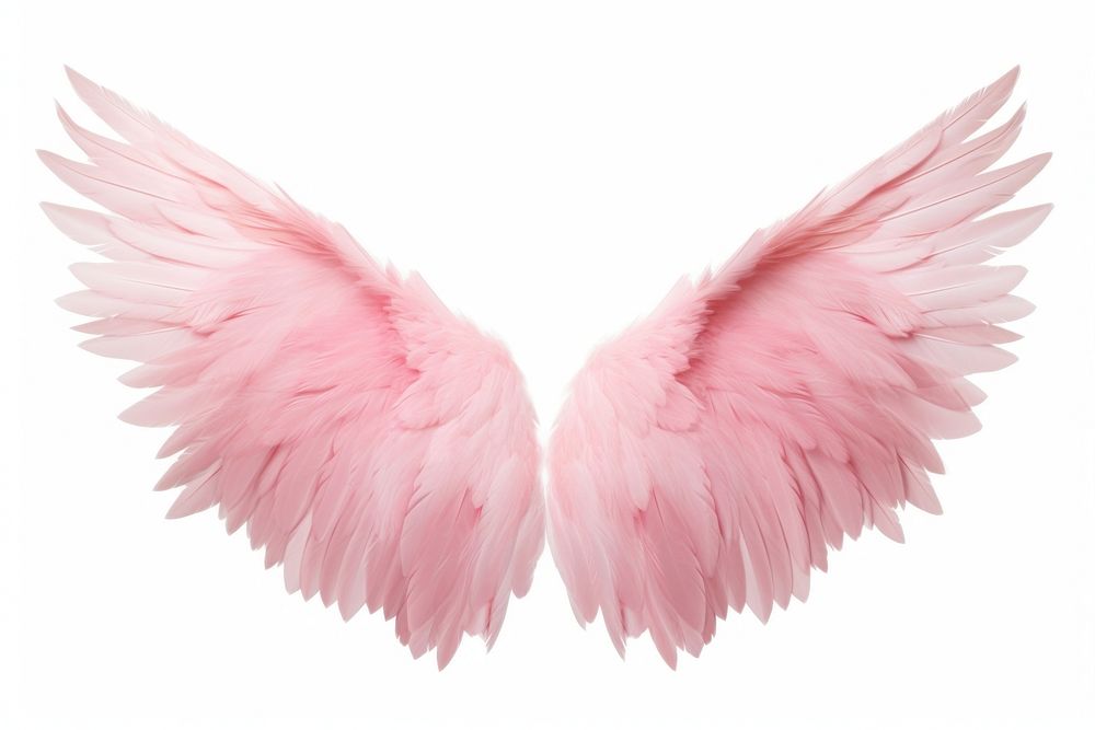 Wing png angel pink bird. AI generated Image by rawpixel.