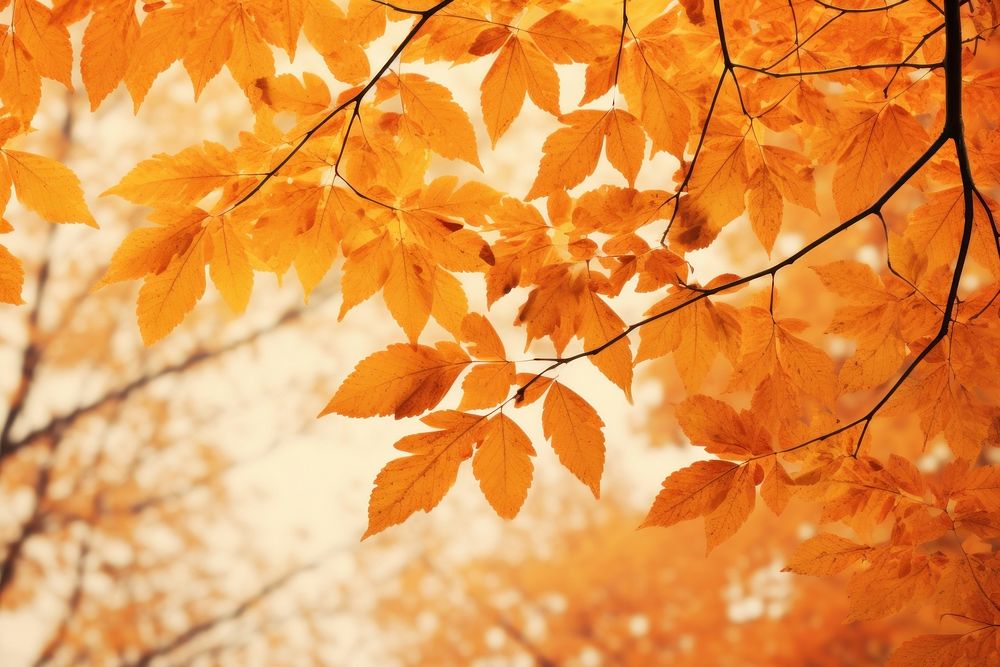 Wallpaper autumn plant leaf. AI generated Image by rawpixel.