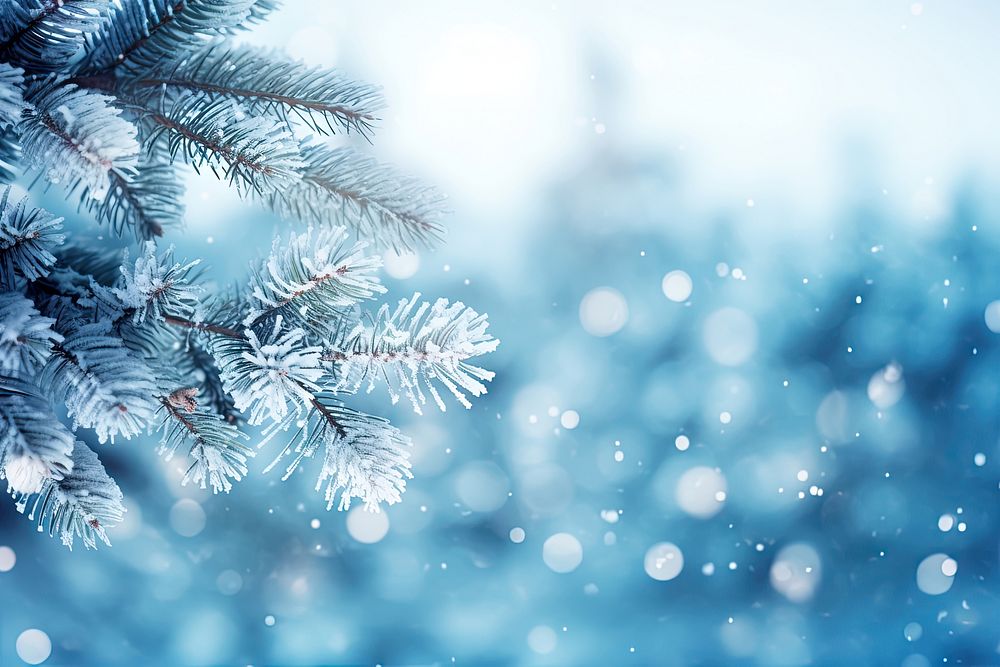 Frost snow backgrounds christmas. 