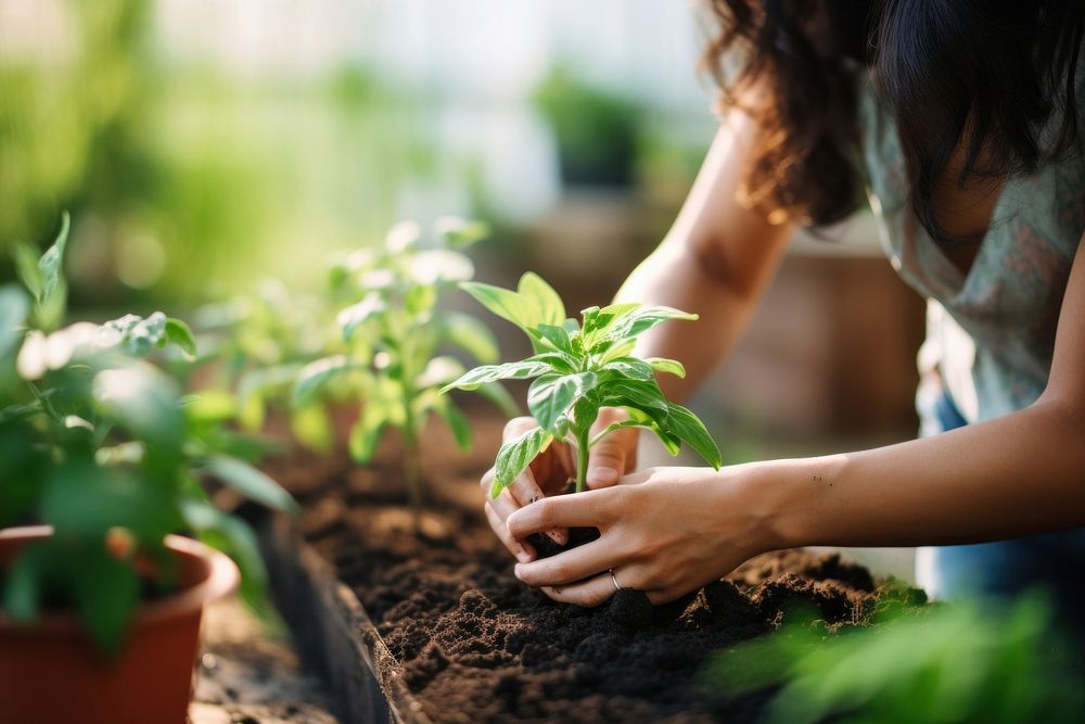 Woman planting garden gardening outdoors. AI generated Image by rawpixel.