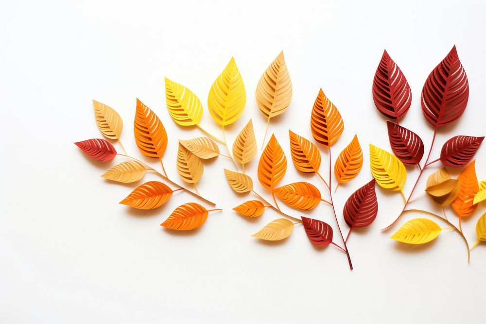 Autumn leaf frame pattern plant white background. AI generated Image by rawpixel.