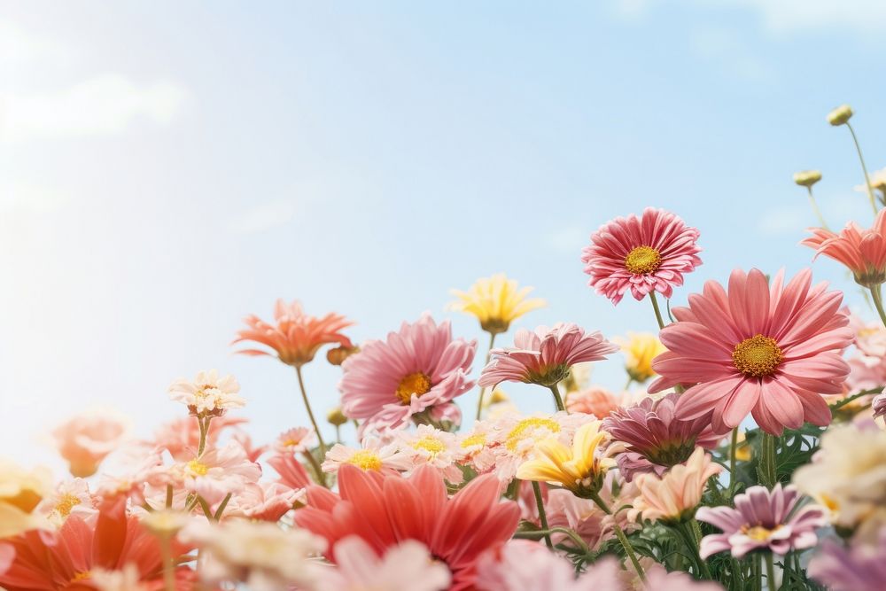 Nature summer outdoors blossom. AI generated Image by rawpixel.