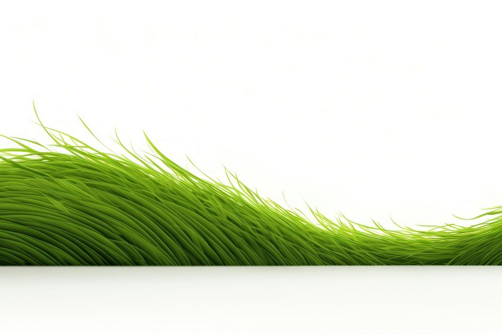 Grass green plant white background. AI generated Image by rawpixel.