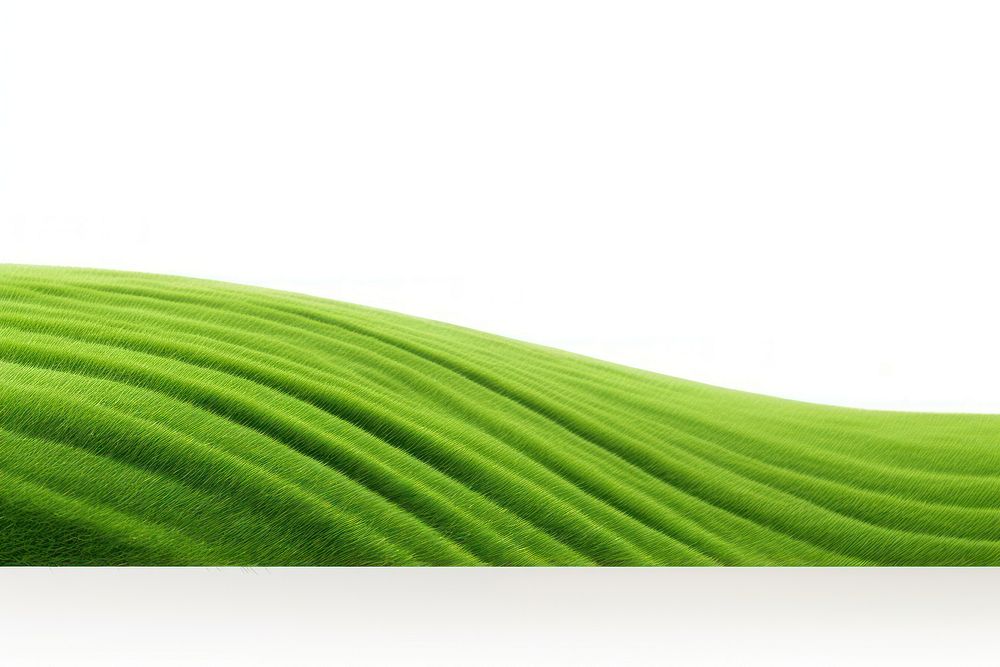Grass green backgrounds nature. AI generated Image by rawpixel.