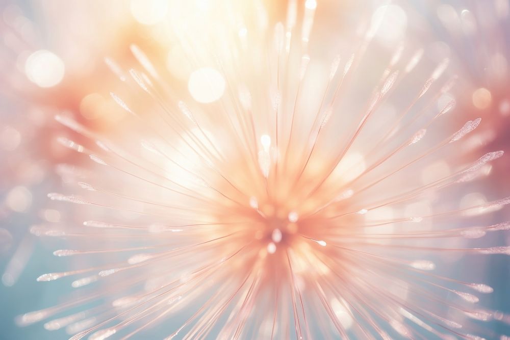 Fireworks backgrounds dandelion flower. AI generated Image by rawpixel.
