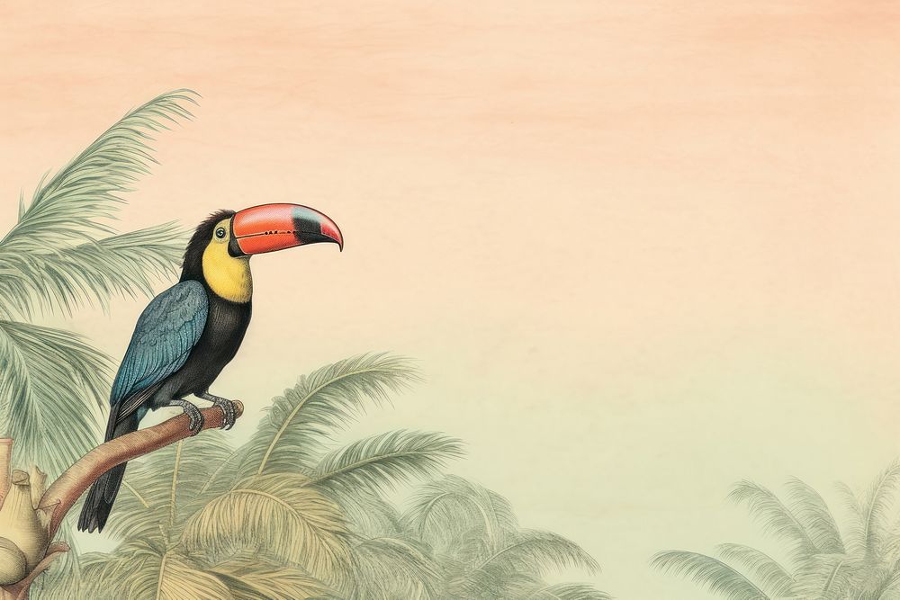 Toucan animal bird tree. AI generated Image by rawpixel.