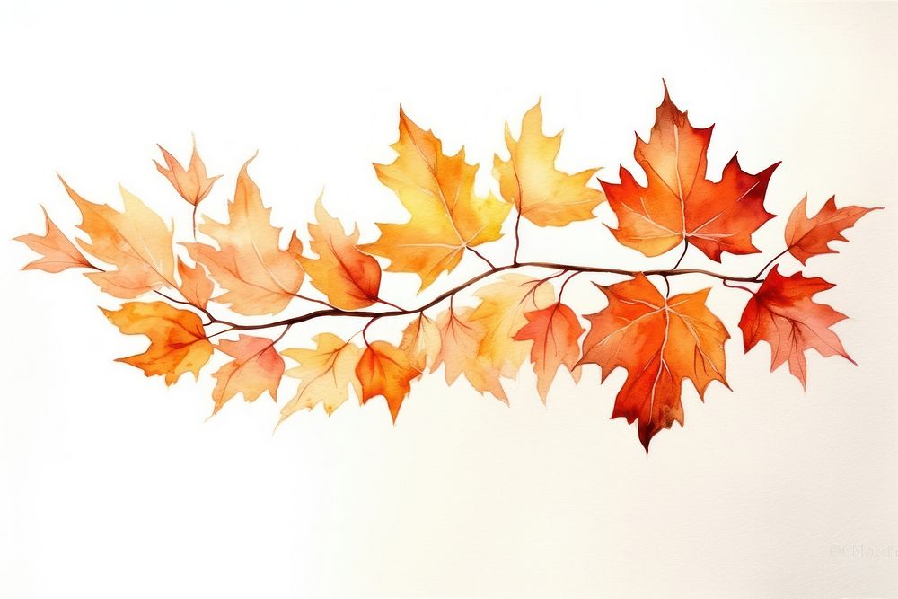 Autumn maple leaves plant. AI generated Image by rawpixel.