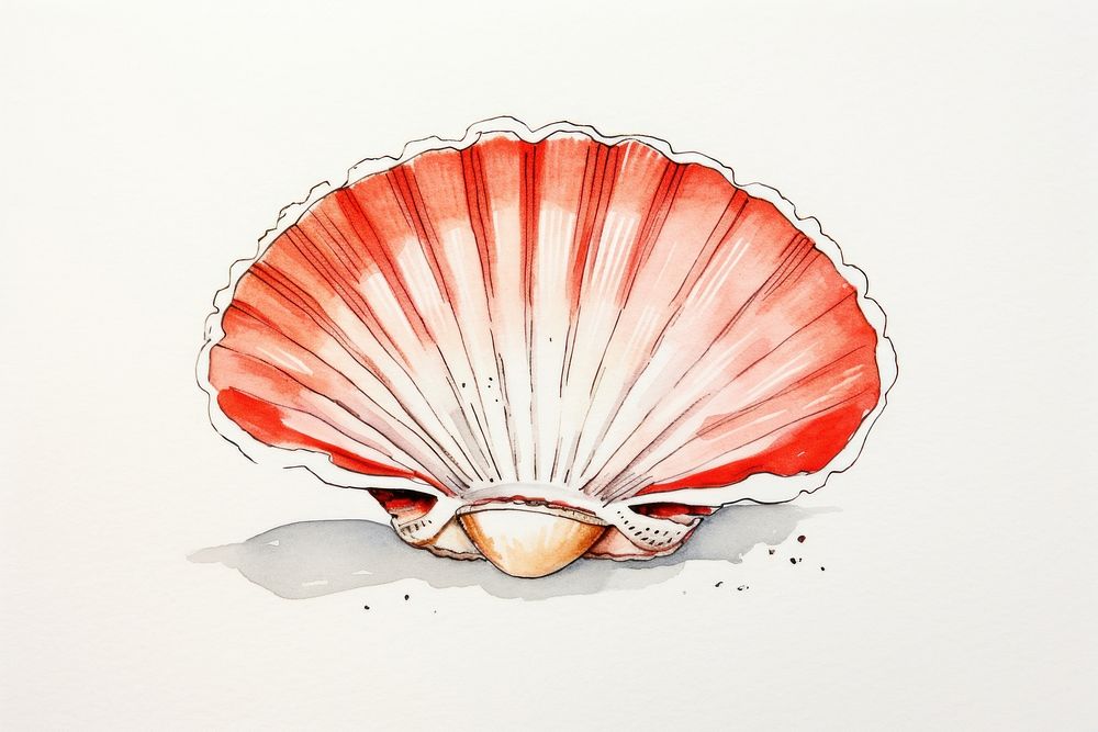 Cockle seafood sketch invertebrate shellfish. AI generated Image by rawpixel.
