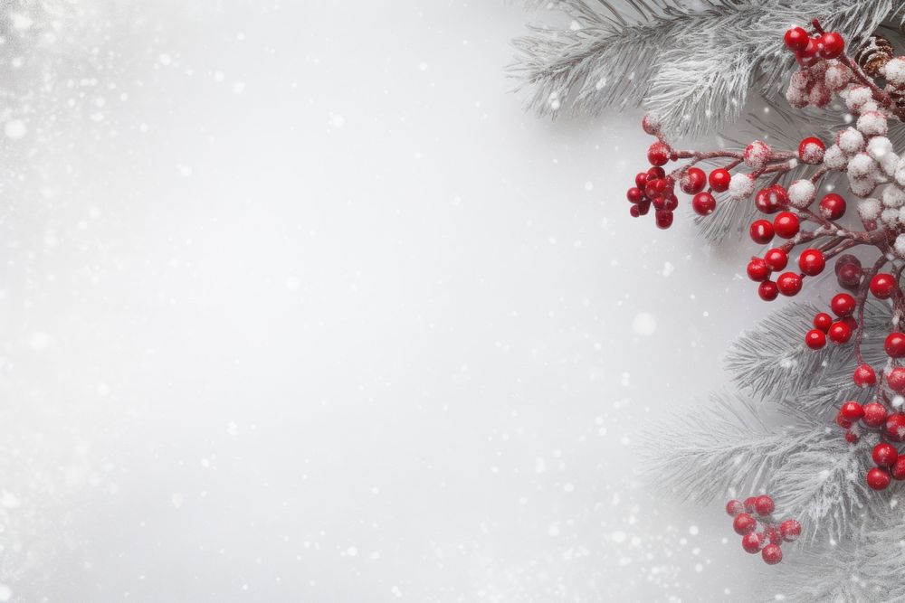 White Christmas background christmas tree backgrounds. AI generated Image by rawpixel.