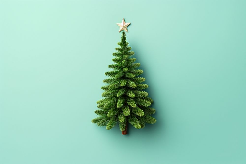 Abric cristmas tree christmas plant anticipation. AI generated Image by rawpixel.