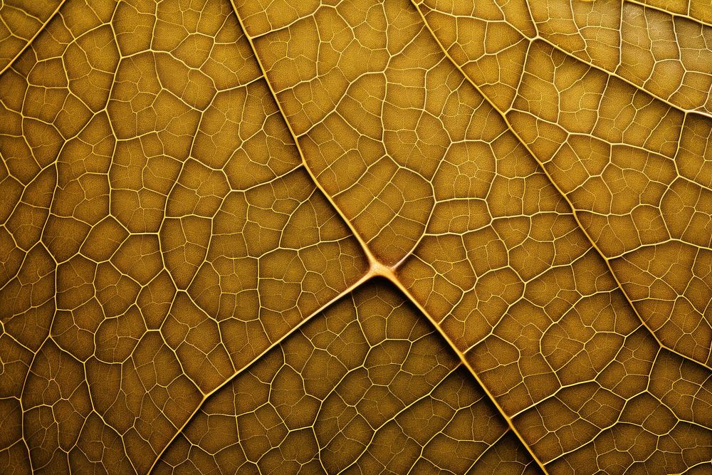 Leaf texture macro photography backgrounds full frame. AI generated Image by rawpixel.