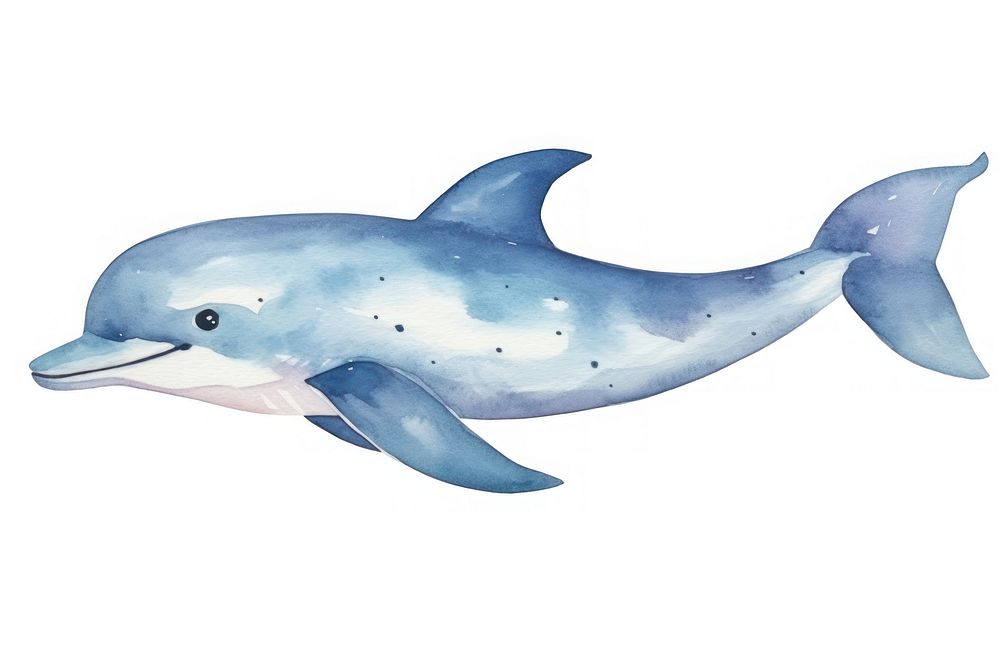 Dolphin animal mammal shark. AI generated Image by rawpixel.