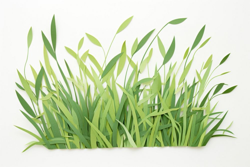 Grass plant leaf white background. AI generated Image by rawpixel.