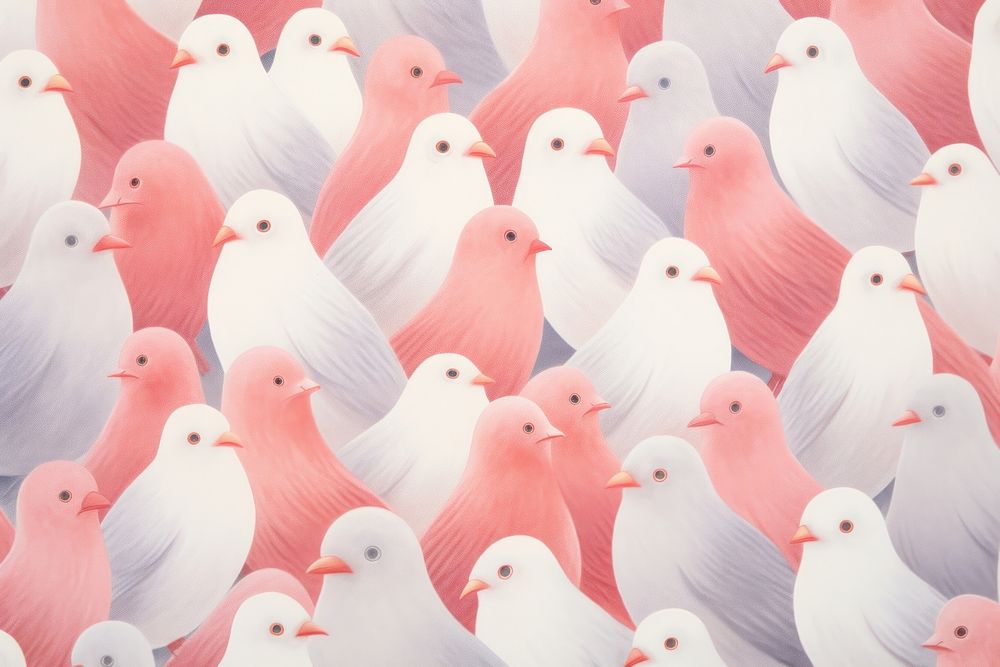 Dove pattern backgrounds animal bird. 