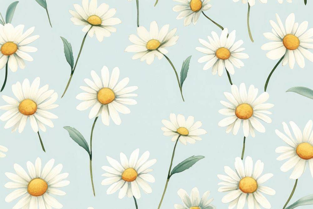 Daisy flower pattern daisy backgrounds. AI generated Image by rawpixel.