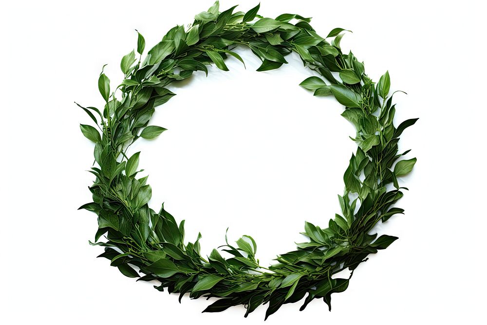 Wreath plant leaf white background. AI generated Image by rawpixel.