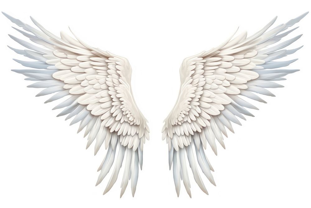 Angel wings white bird white | Premium Photo Illustration - rawpixel