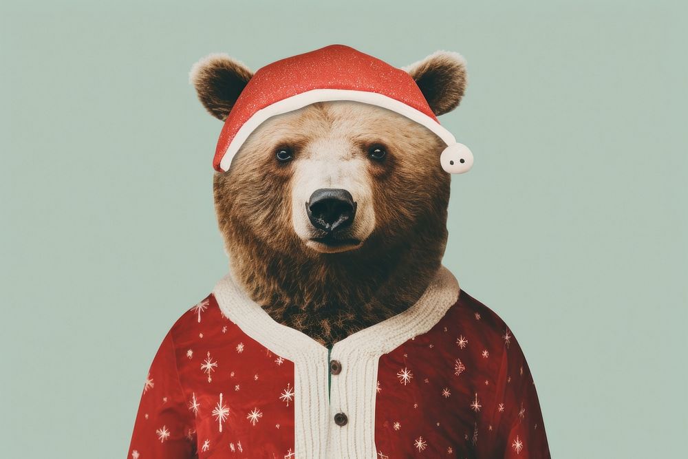 Cute beown bear christmas mammal animal. AI generated Image by rawpixel.