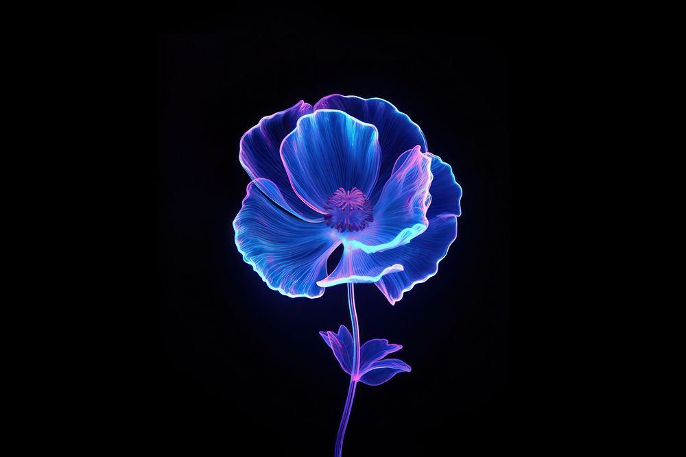 Poppy light flower violet. AI generated Image by rawpixel.