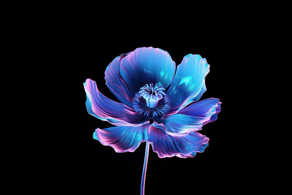 Poppy flower purple petal. AI generated Image by rawpixel.