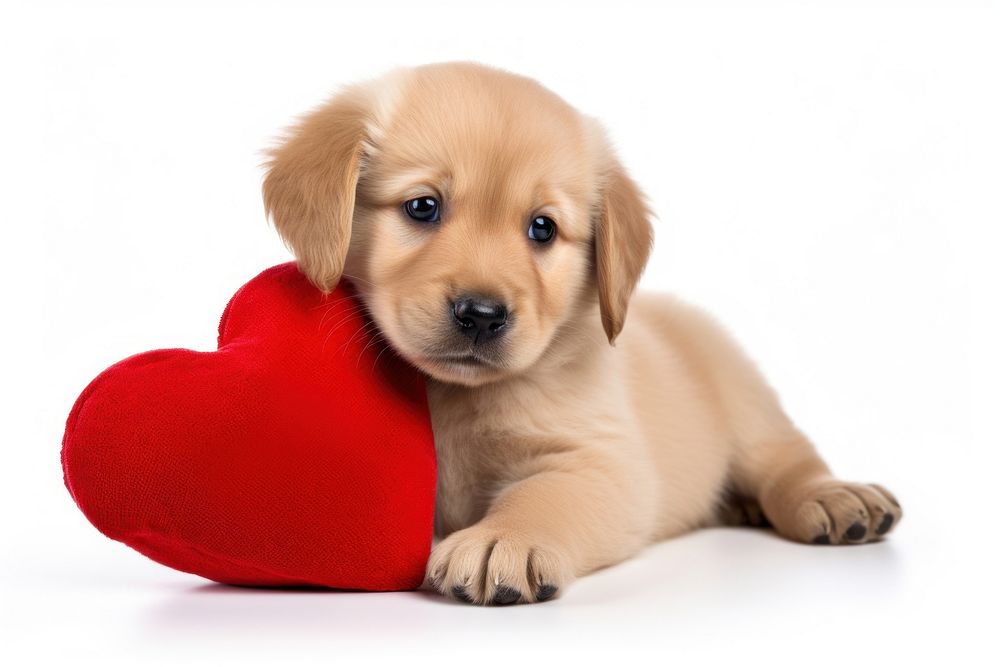 Puppy hugging a heart plush toy mammal animal pet. AI generated Image by rawpixel.