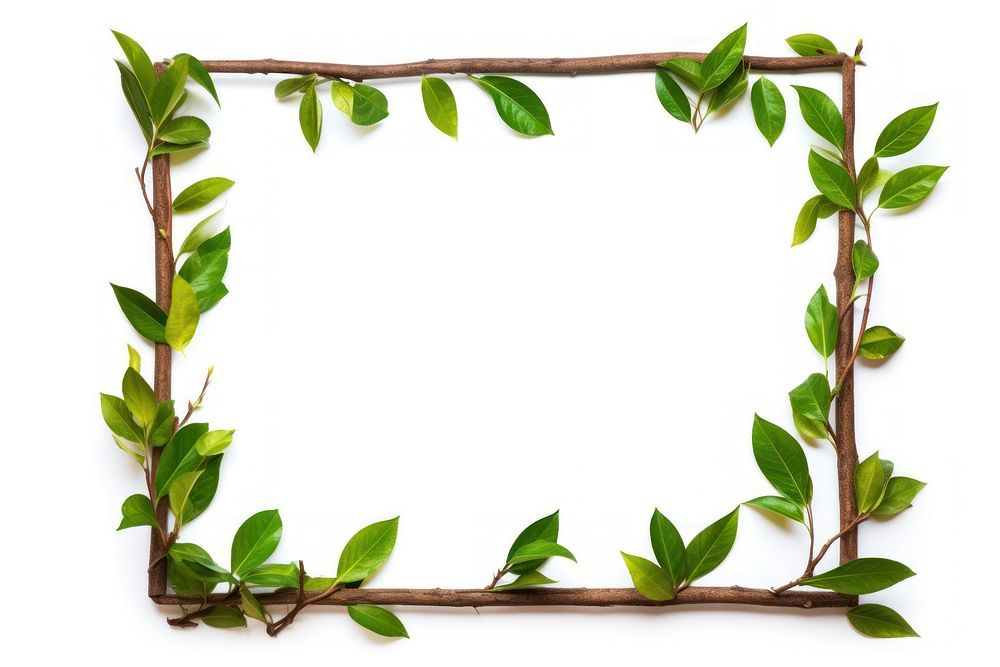 Nature frame plant leaf white background. AI generated Image by rawpixel.