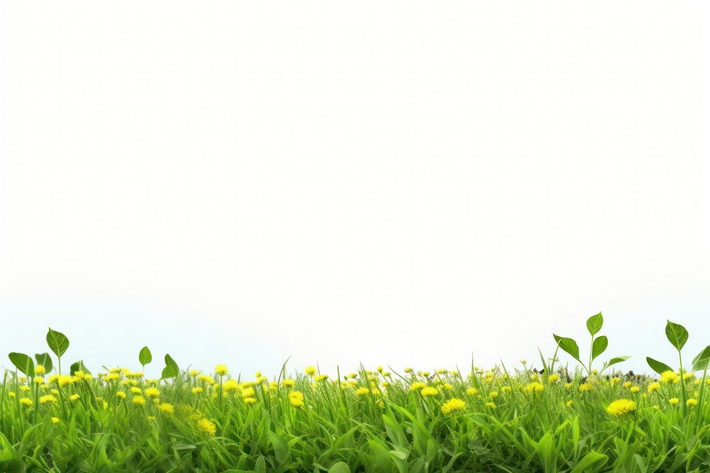 Spring field backgrounds grassland outdoors. AI generated Image by rawpixel.