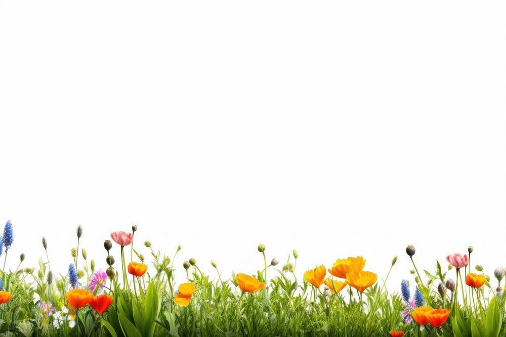 Spring flower field backgrounds grassland landscape. AI generated Image by rawpixel.