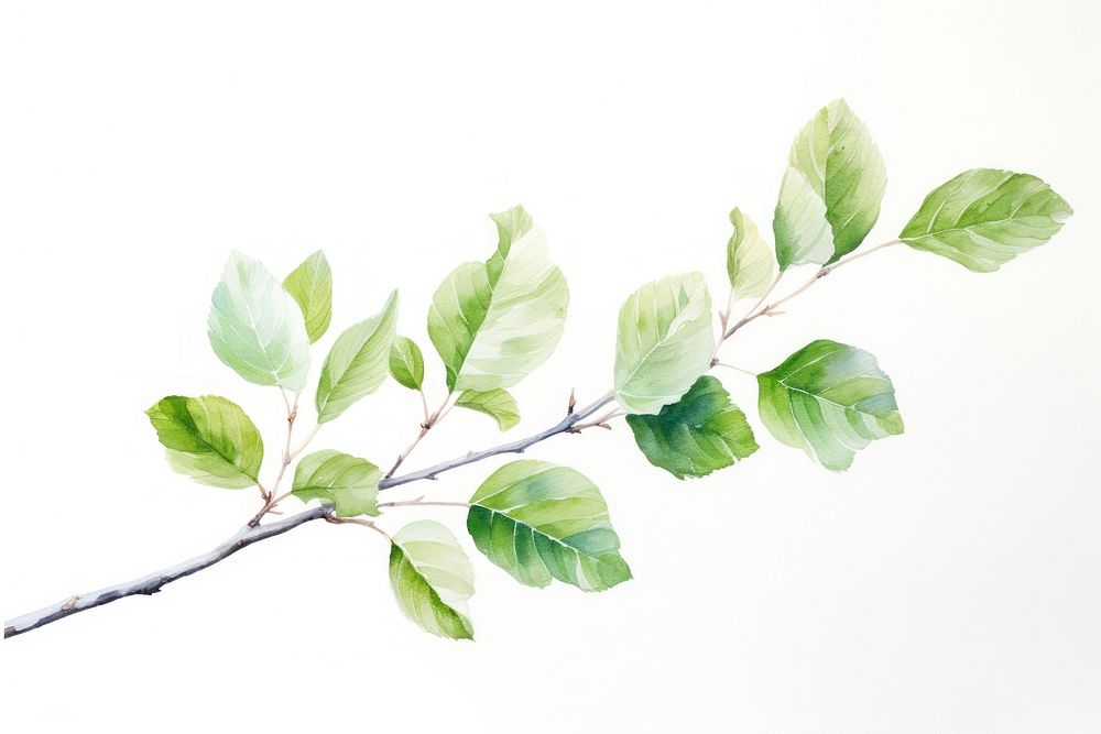 Spring plant leaf tree. AI generated Image by rawpixel.