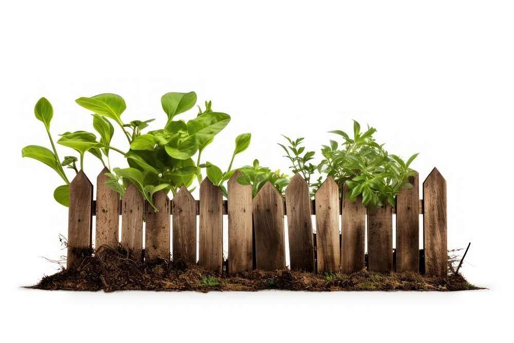Garden fence outdoors nature plant. AI generated Image by rawpixel.