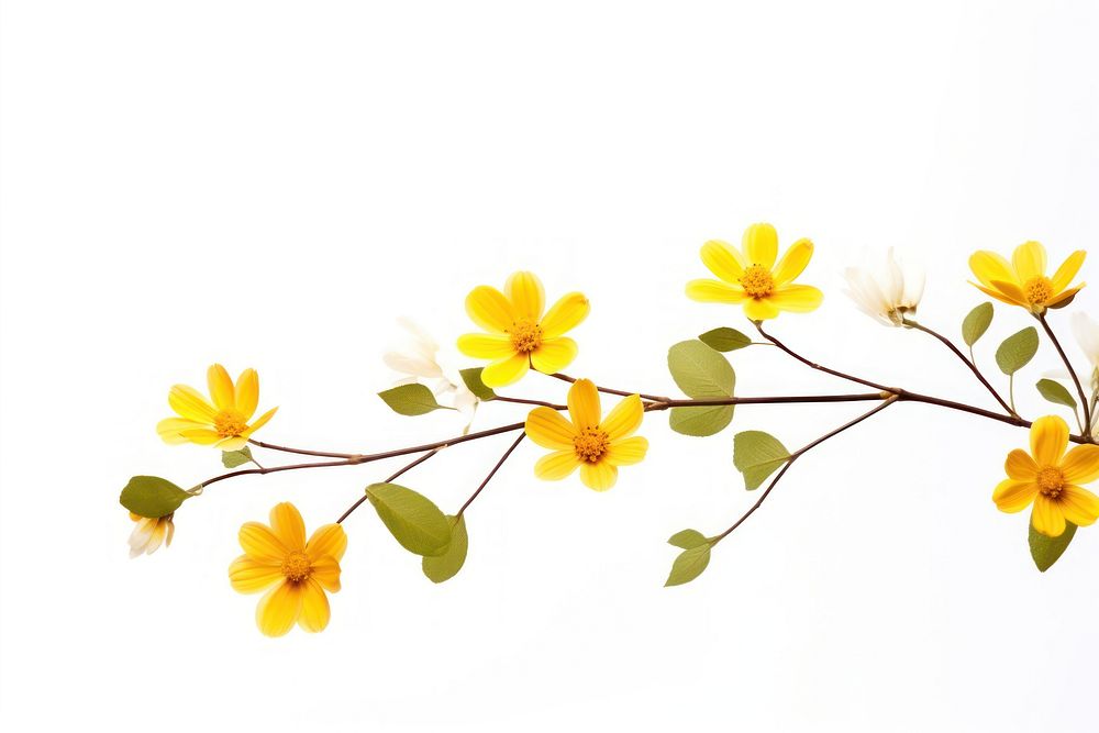 Flower branch blossom plant petal. AI generated Image by rawpixel.
