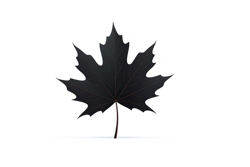 Canada leaf maple plant. AI | Premium Photo Illustration - rawpixel