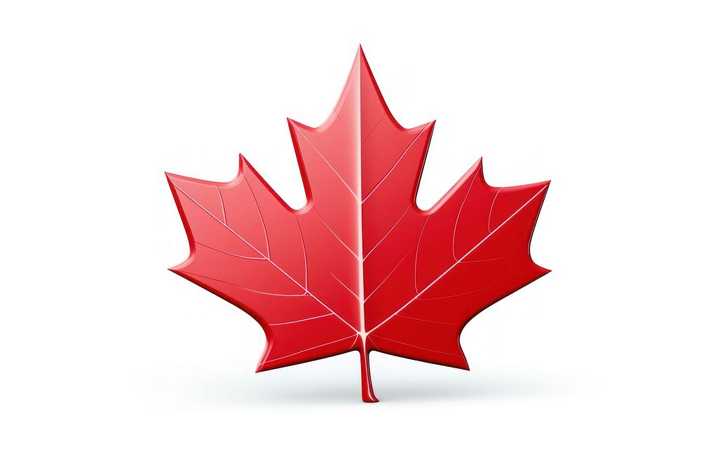 Canada maple plant leaf. AI generated Image by rawpixel.