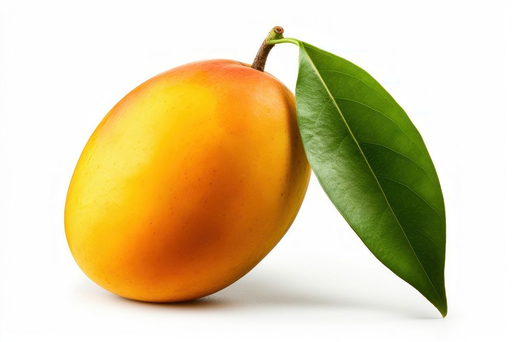 Mango fruit food plant white background. AI generated Image by rawpixel.