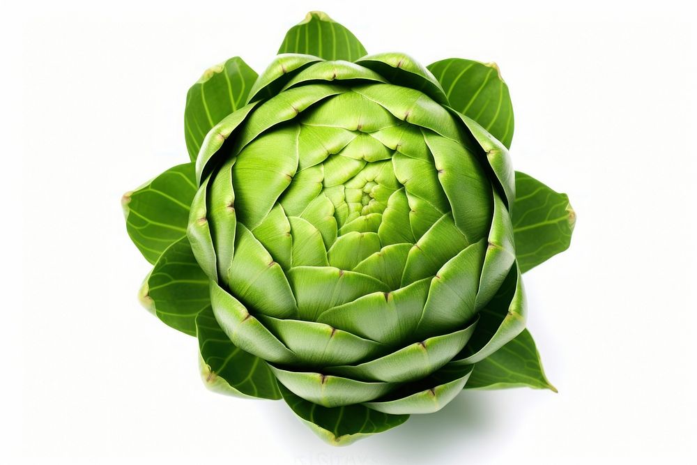 Greeen artichoke vegetable plant food. AI generated Image by rawpixel.