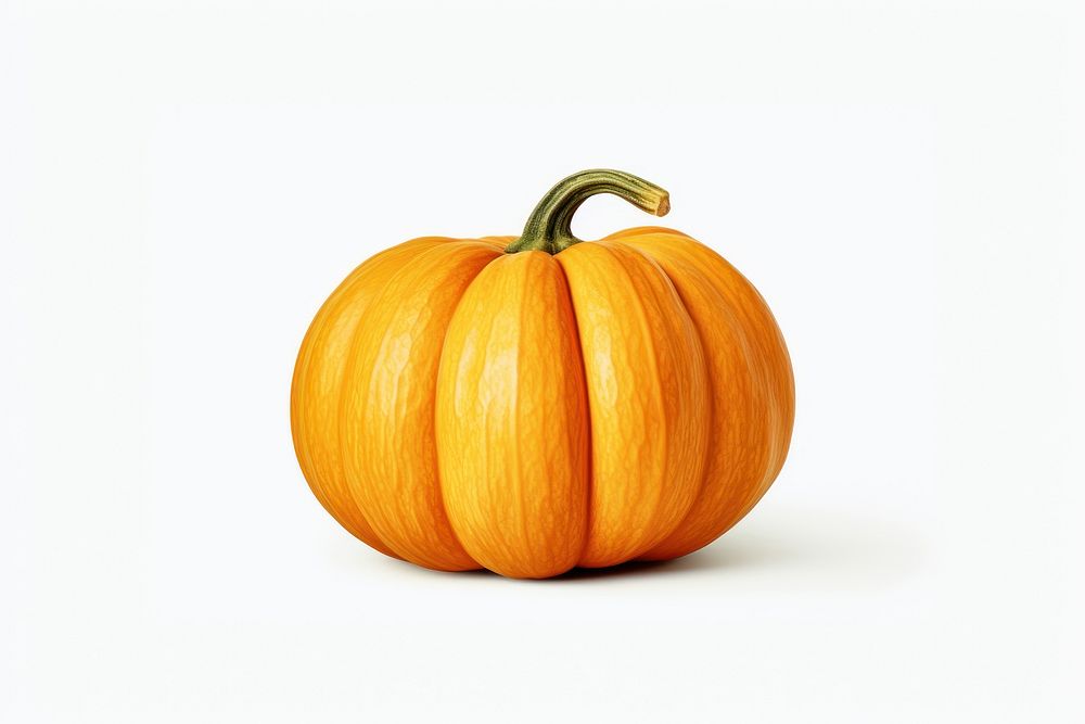 Pumpkin pumpkin vegetable plant. AI generated Image by rawpixel.