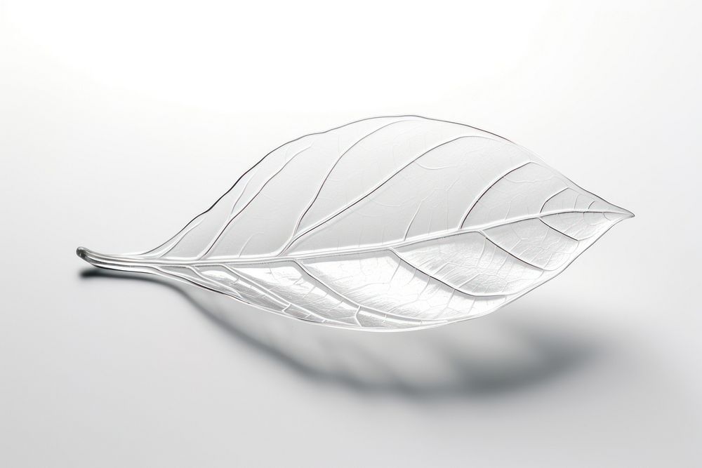 Leaf white plant lightweight. AI generated Image by rawpixel.