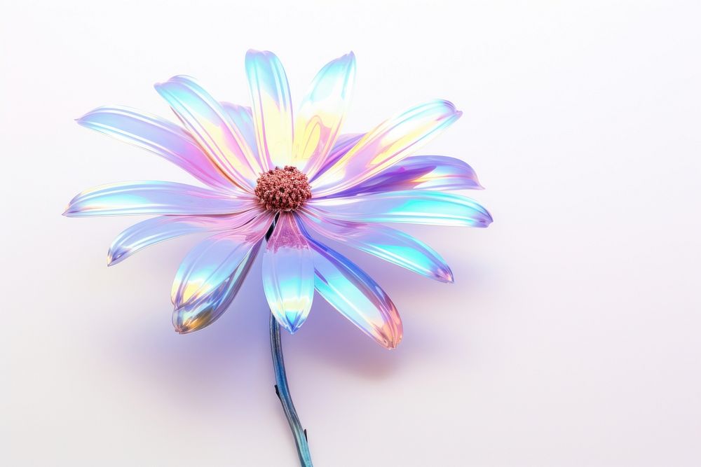 Daisy flower petal plant daisy. AI generated Image by rawpixel.