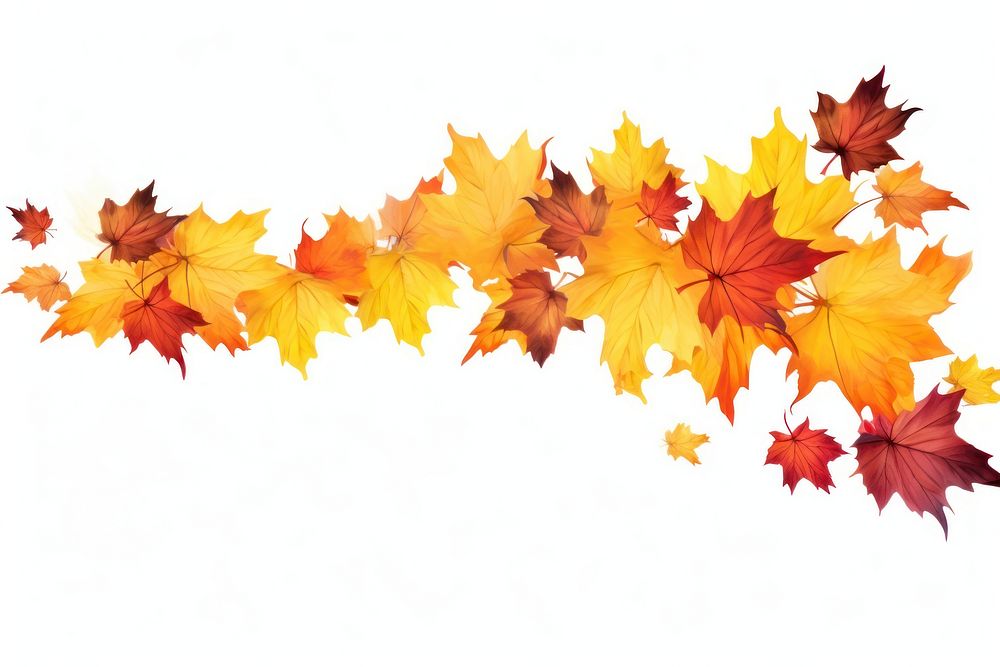 Autumn leaf backgrounds maple plant. AI generated Image by rawpixel.